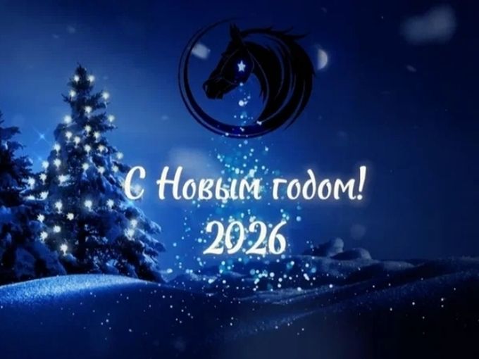 С Наступающим Новым годом 🐎!