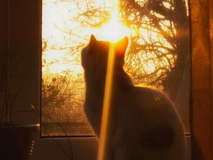 ☀️
