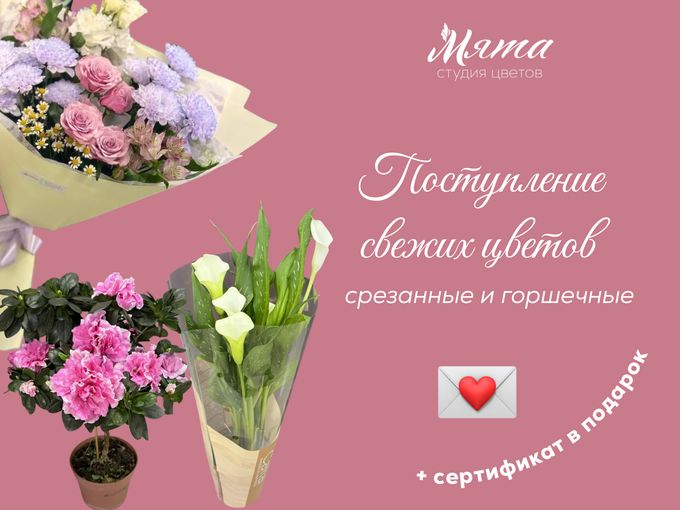 + 1 ВАЖНОЕ СООБЩЕНИЕ 💬