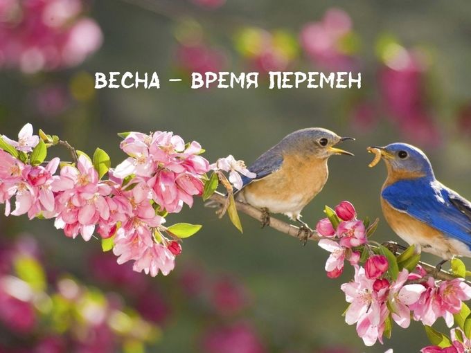 Любимая Весна - 8 Марта