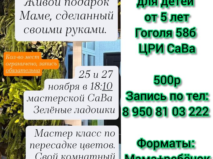 МАСТЕР-КЛАСС 25 и 27 ноября!