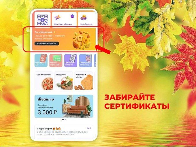 🤩 Выгодные сертификаты нашим клиентам!
