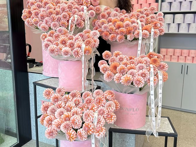 Сезон георгин открыт! 🌸🔥