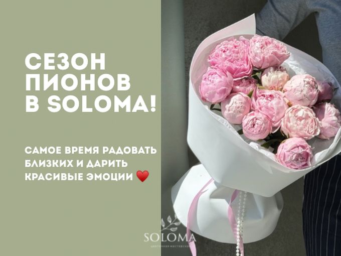 🩷 Если дарить пионы, то именно сейчас
