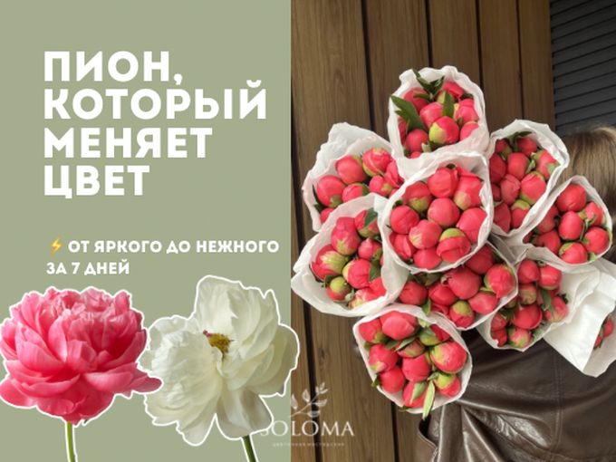 Пионы, которые меняют цвет УЖЕ У НАС!