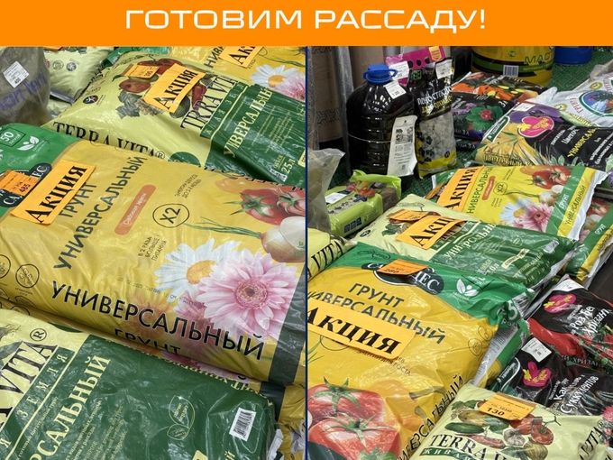 ВЕСНА ПРИШЛА!
