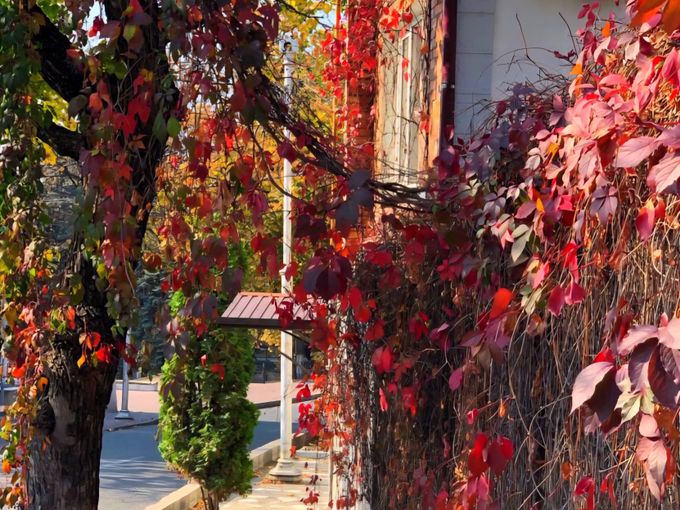 🍂 10 причин быть в Пятигорске в октябре
