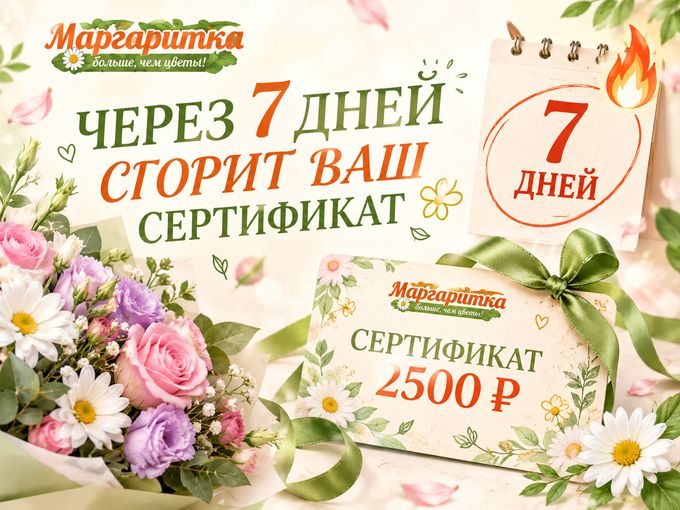Дарим 2500р на букет🎁❤️