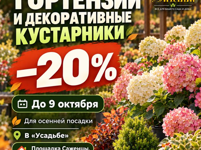 Гортензии и кустарники −20% 🌿