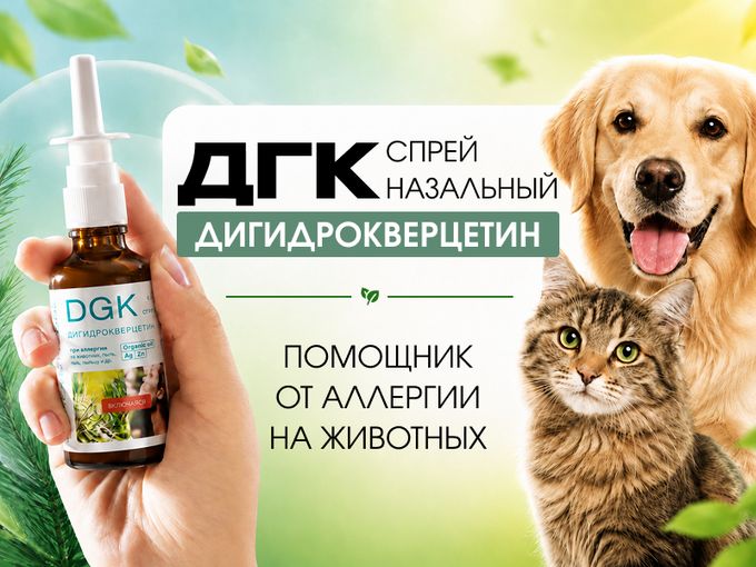 Любовь к питомцу без заложенного носа🐈
