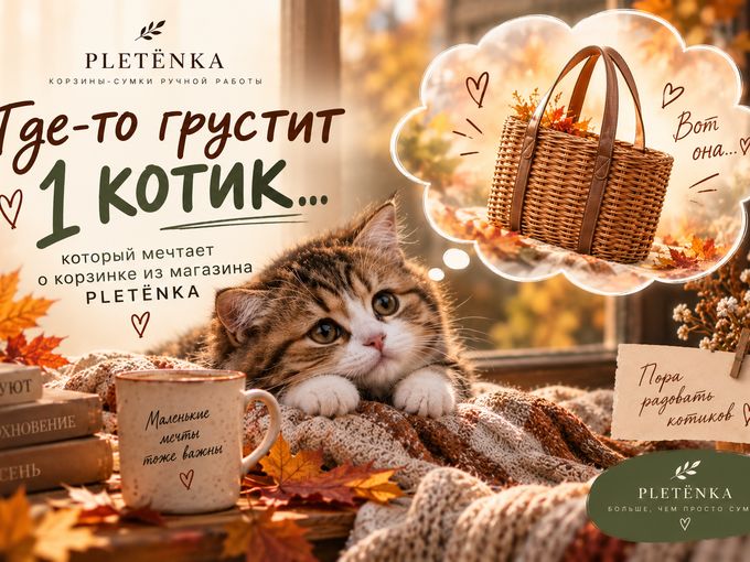 Где-то сейчас грустит один котик… 🥺