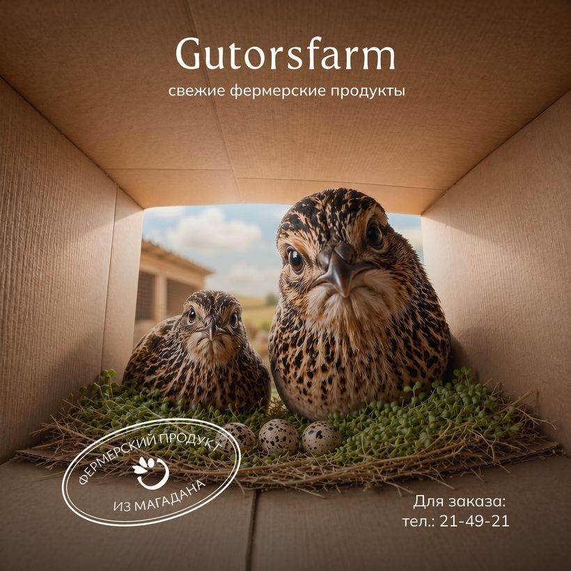 GUTORS.farm