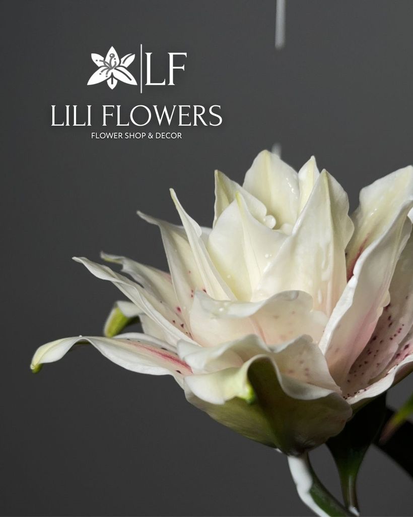 LILI FLOWERS