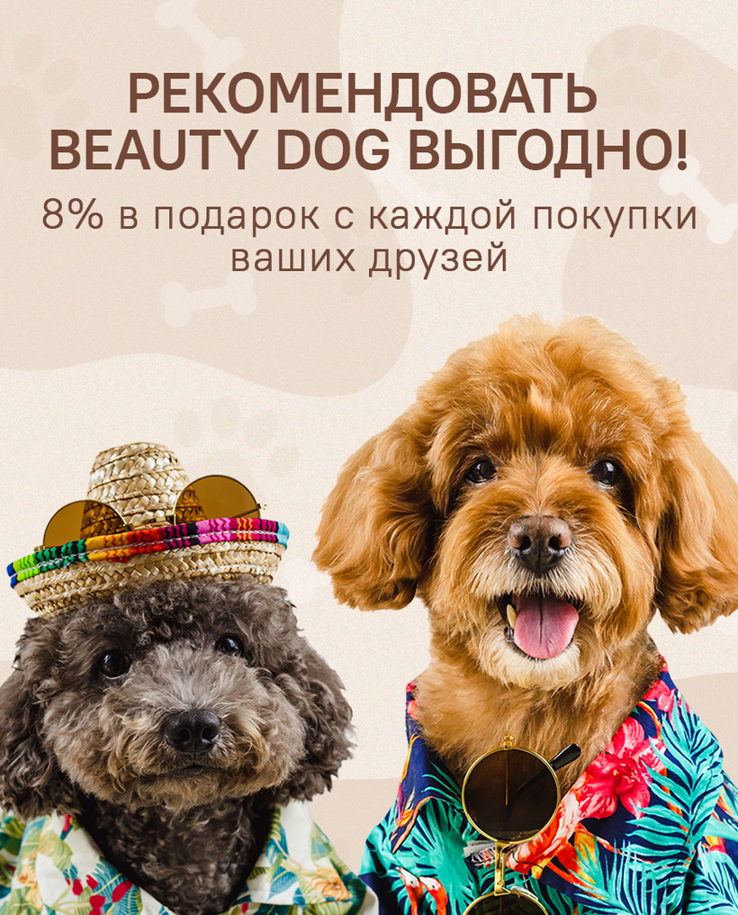 BEAUTY DOG - Груминг салон