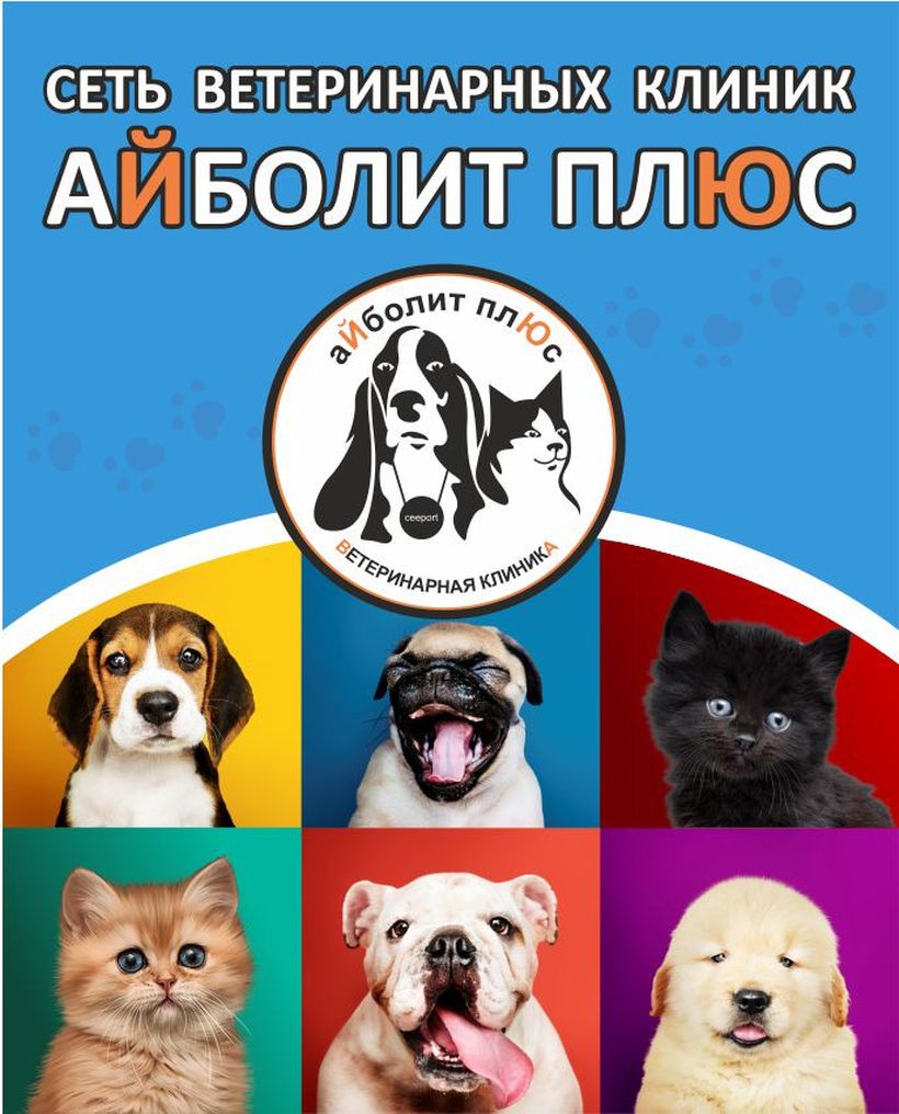Айболит Плюс - Здоровый питомец, довольный хозяин😊
