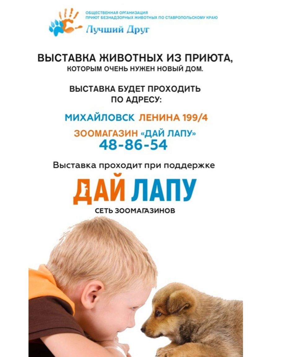 Дай Лапу