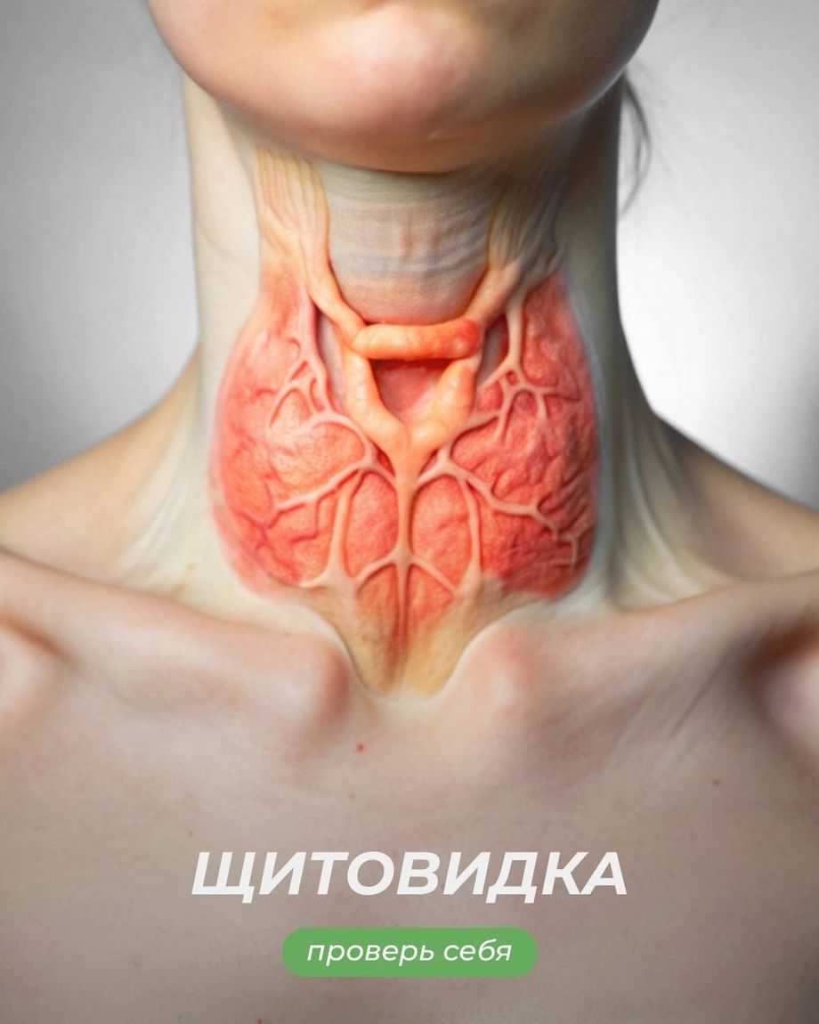Диомид