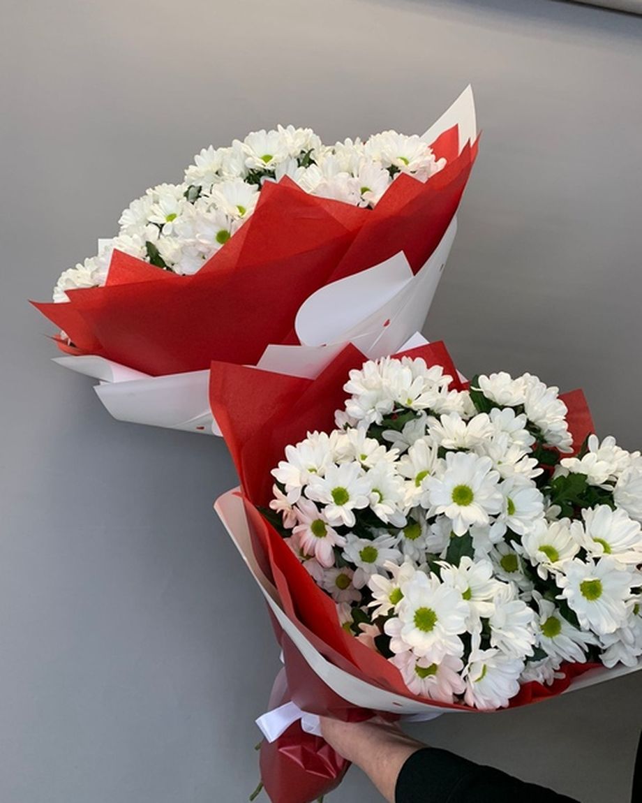 МЕГАФЛОРА ЦВЕТОК