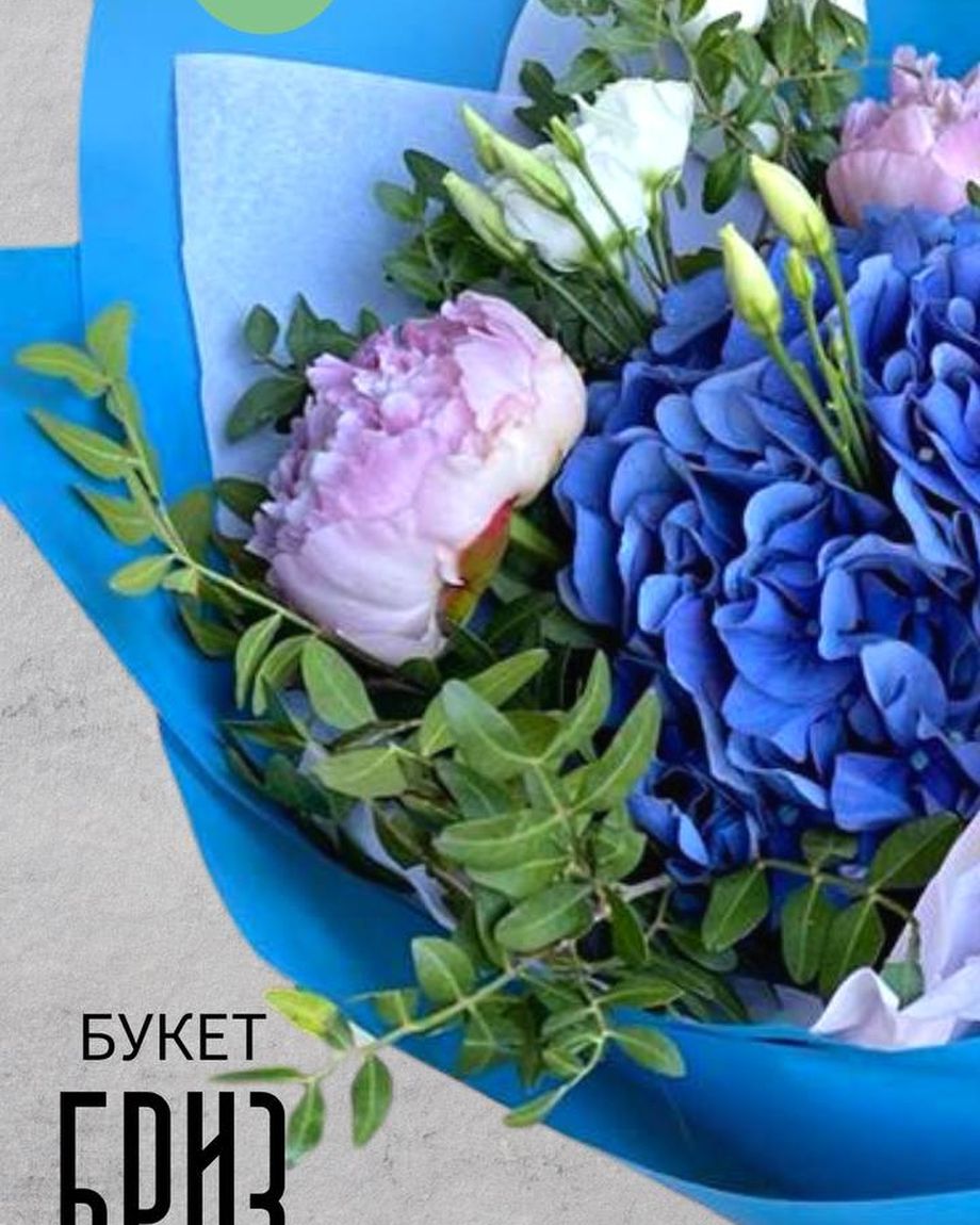 ДАРИ ЦВЕТЫ & САДуДАЧИ