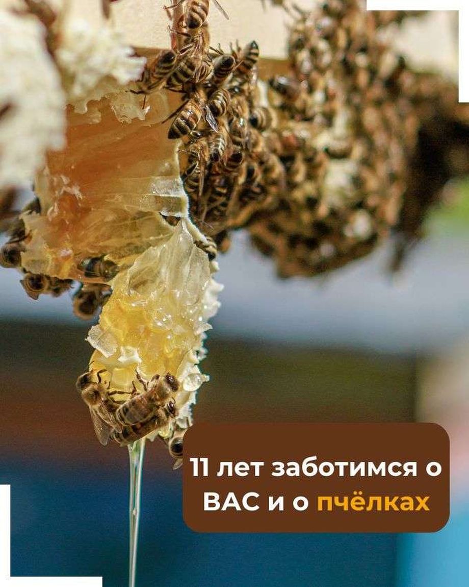 БАШКИРСКИЕ ПАСЕКИ