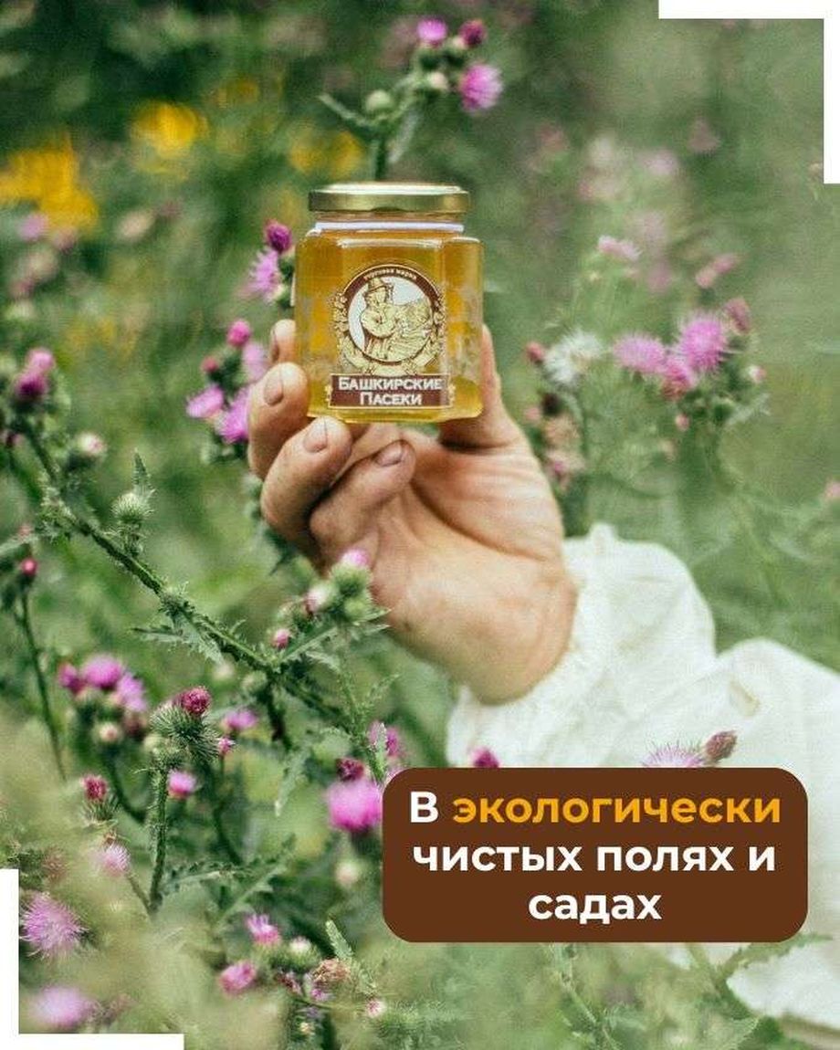 БАШКИРСКИЕ ПАСЕКИ