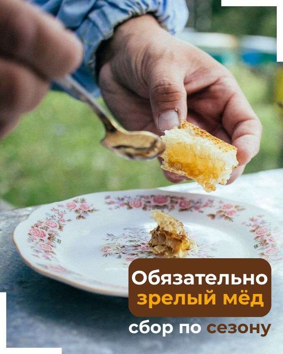 БАШКИРСКИЕ ПАСЕКИ