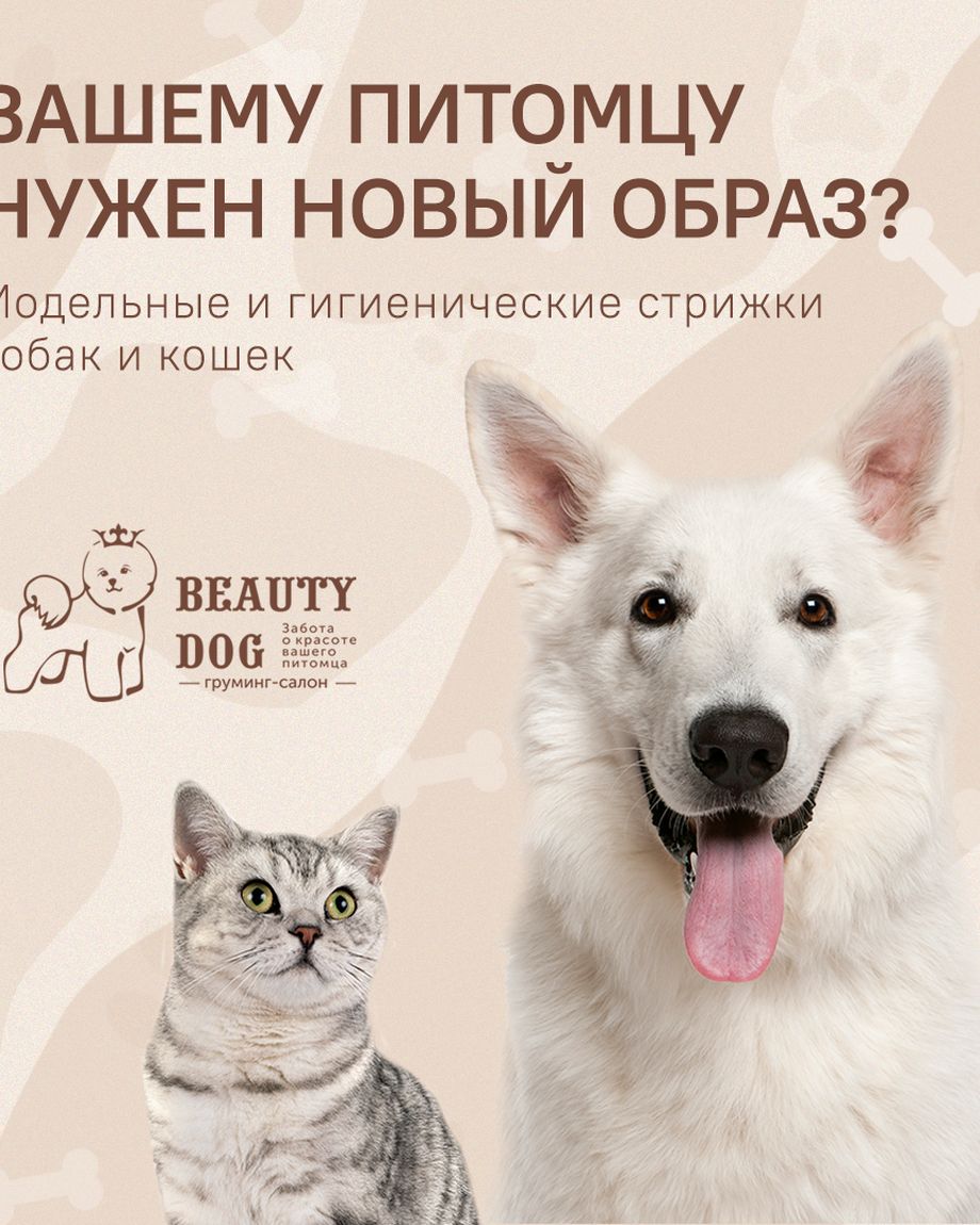 BEAUTY DOG
