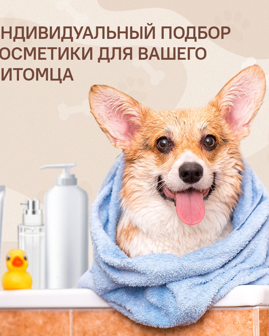 BEAUTY DOG
