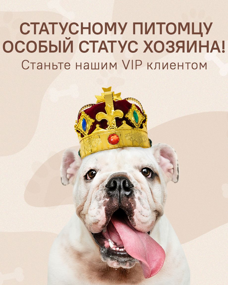 BEAUTY DOG