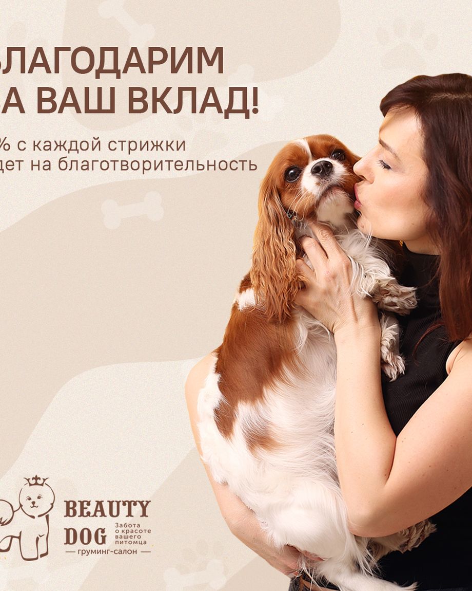 BEAUTY DOG