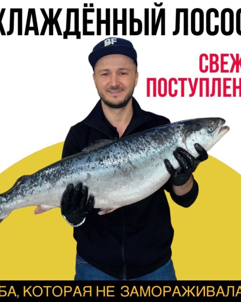 BERIFISH