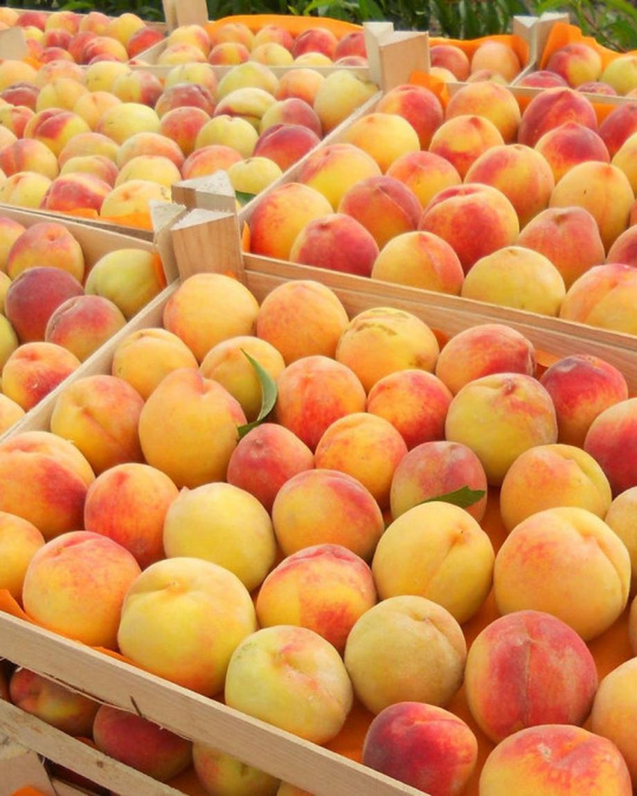 UZBEK ORGANIC FOODS-BONAFRESCO