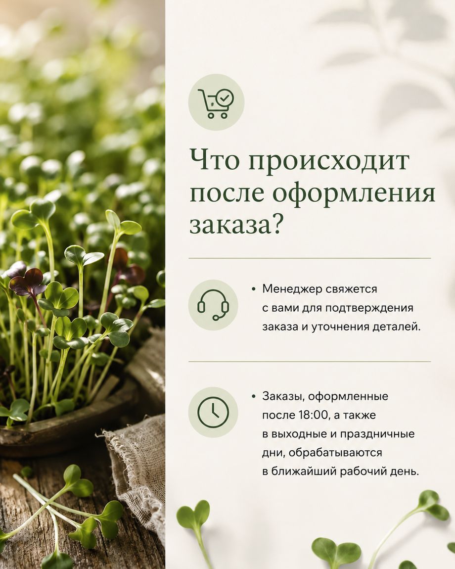 Проростки