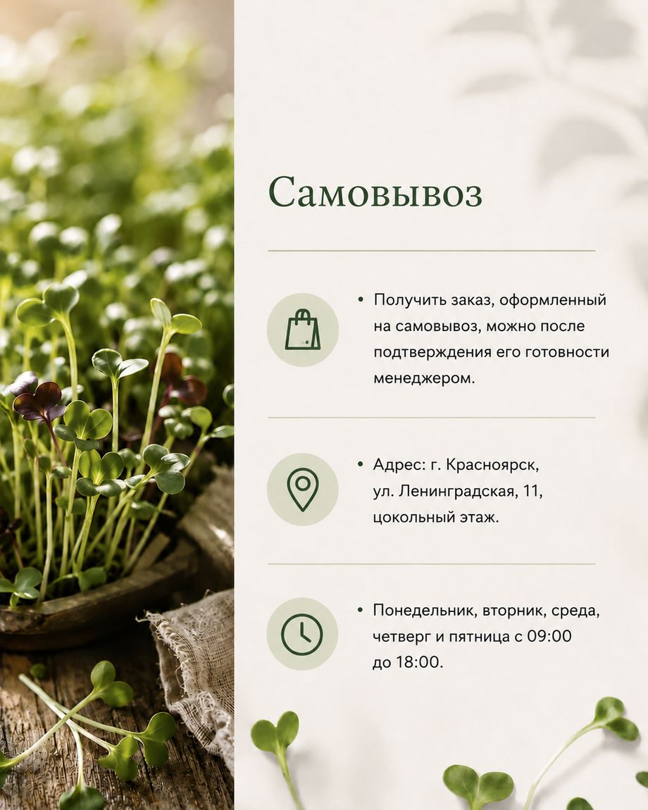 Проростки