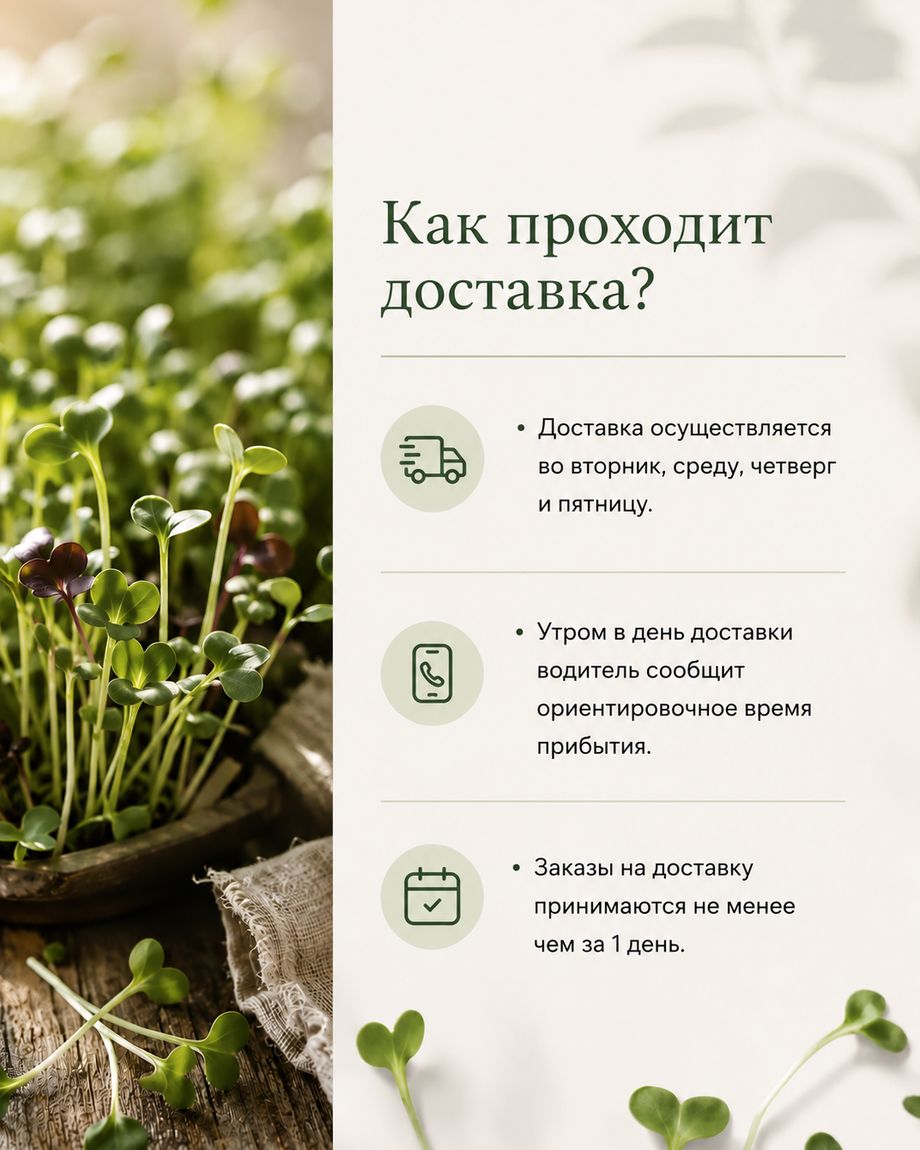 Проростки