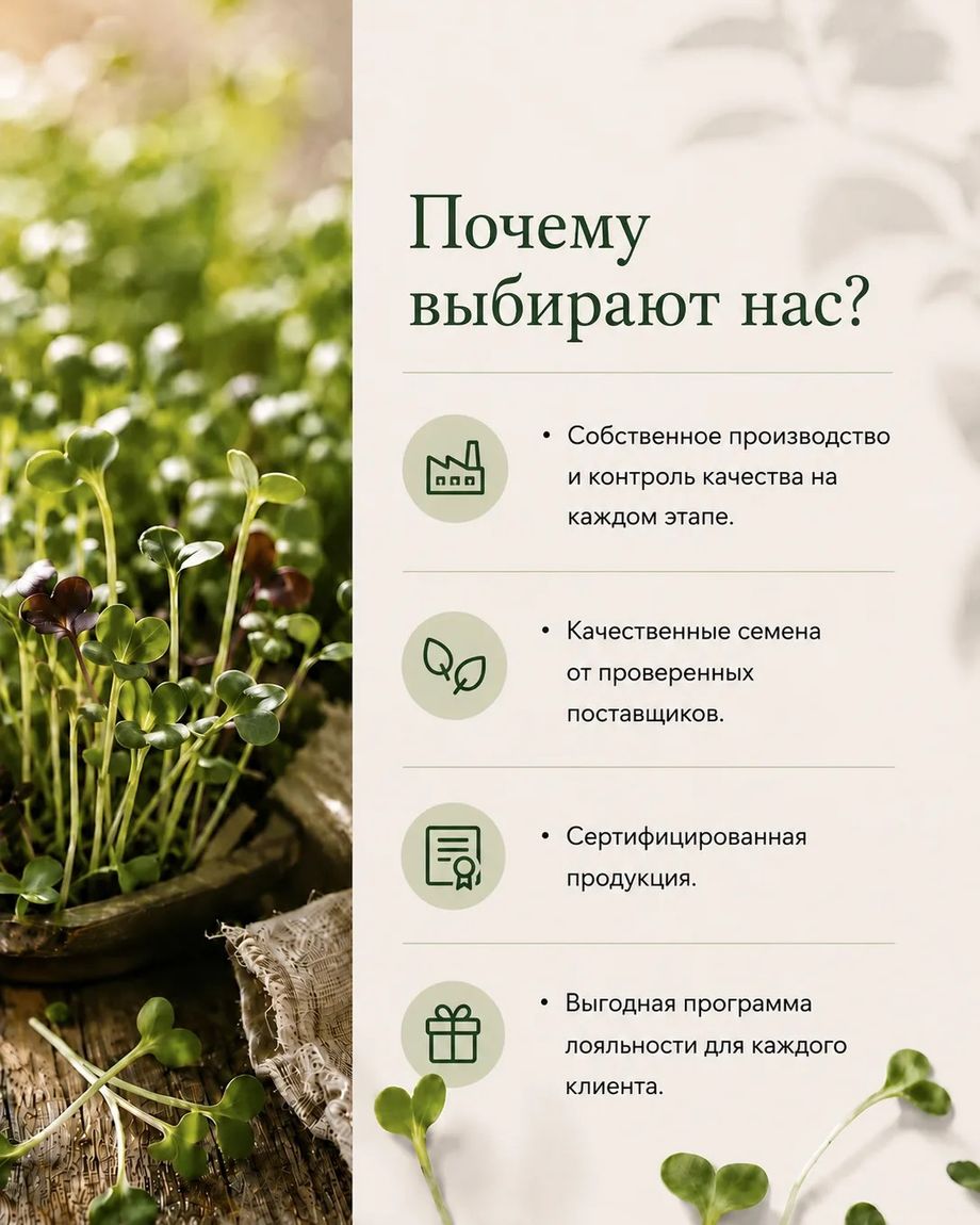 Проростки