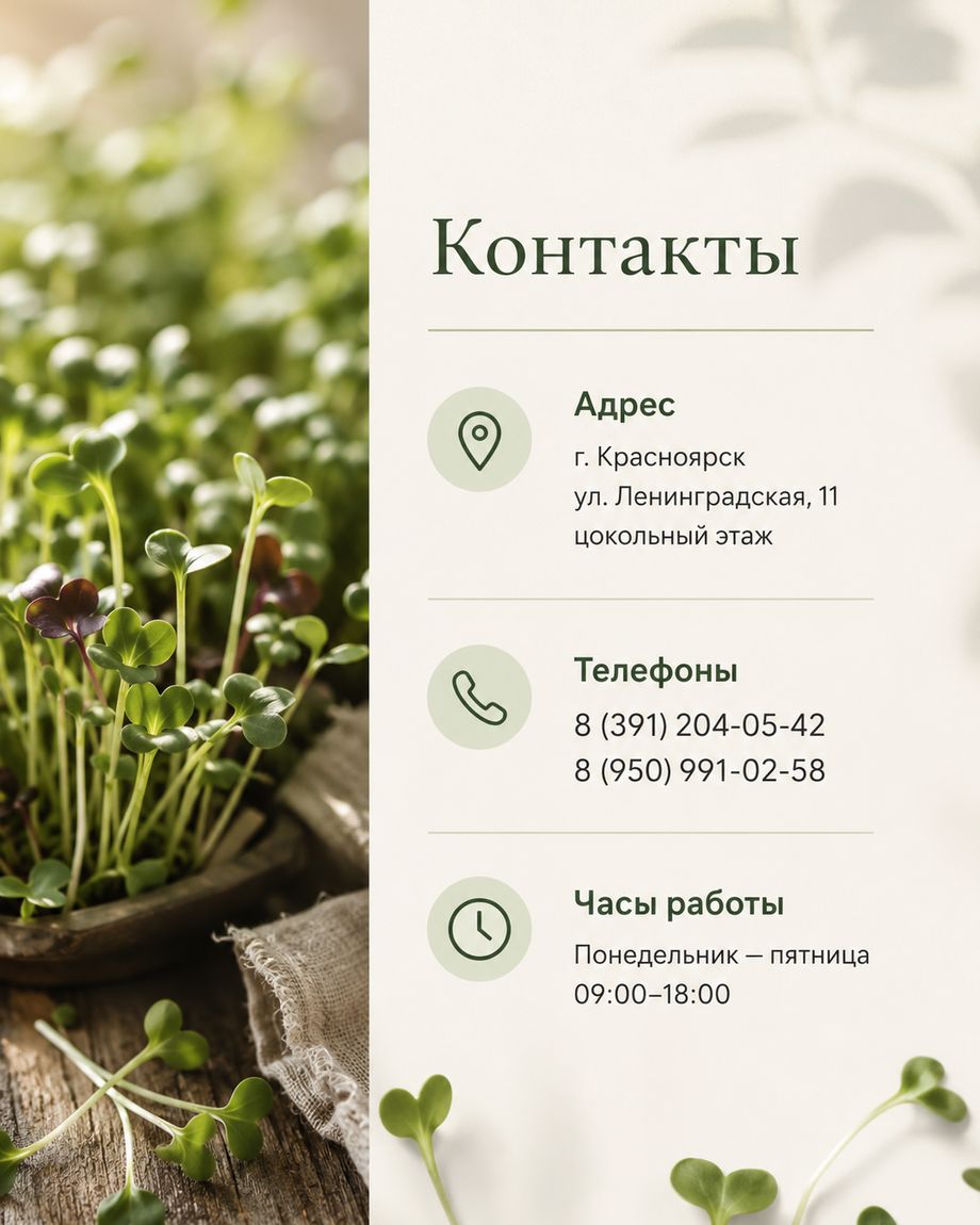 Проростки