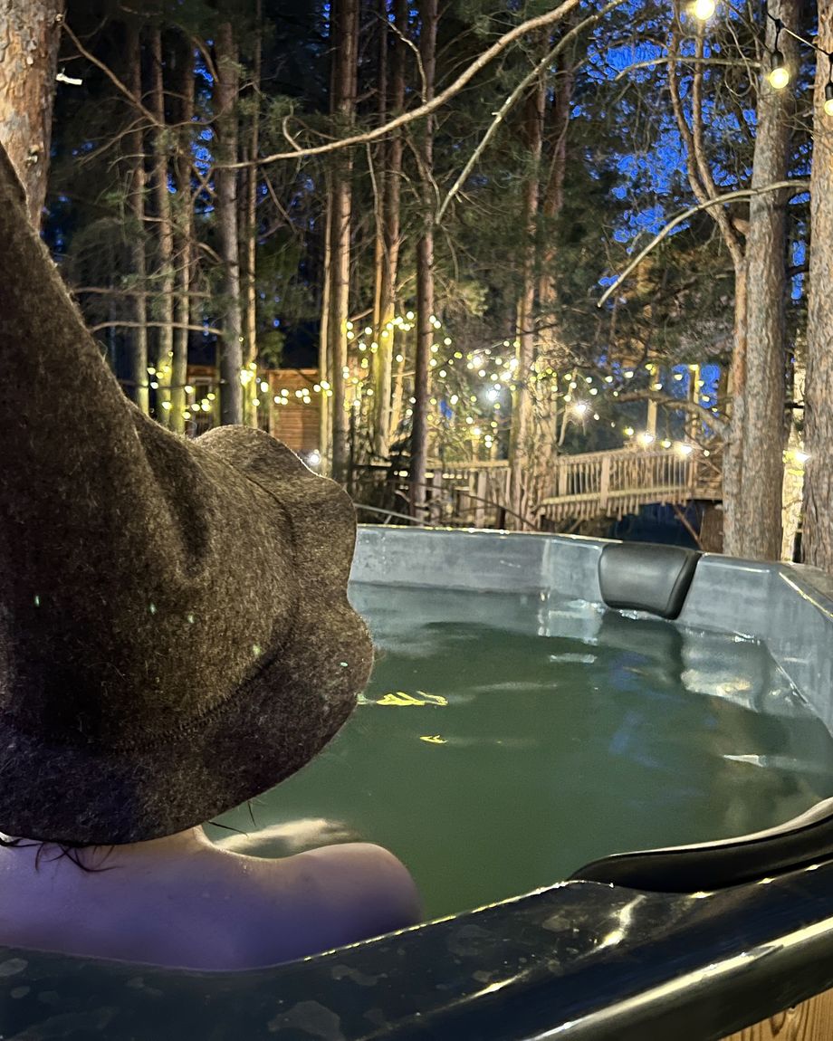 ГНЕЗДО