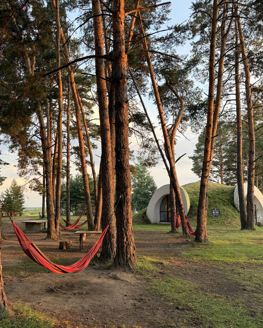 ГНЕЗДО
