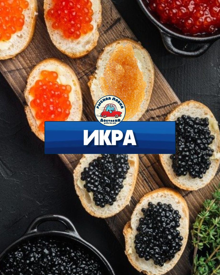 РЫБНАЯ ЛАВКА