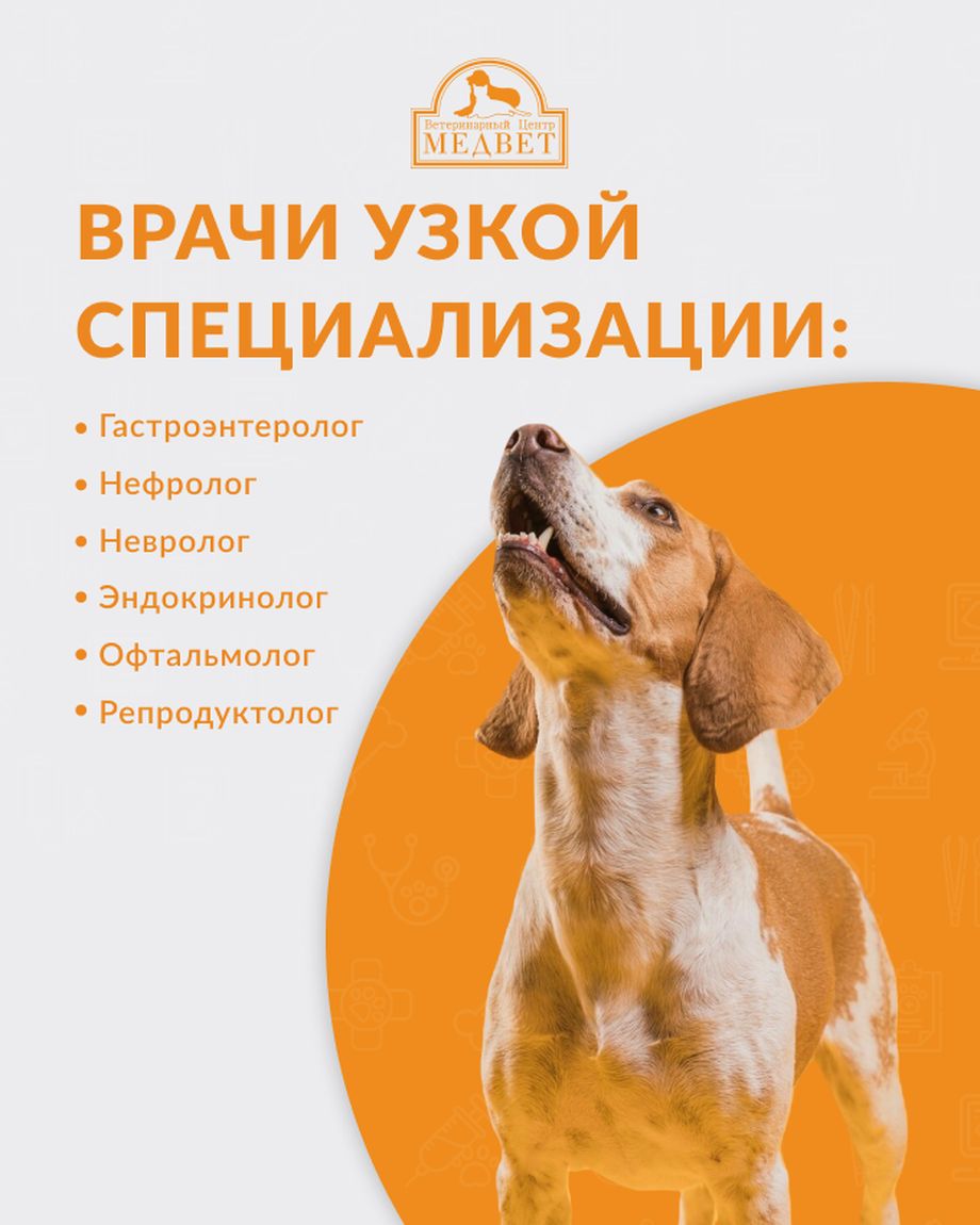 МЕДВЕТ