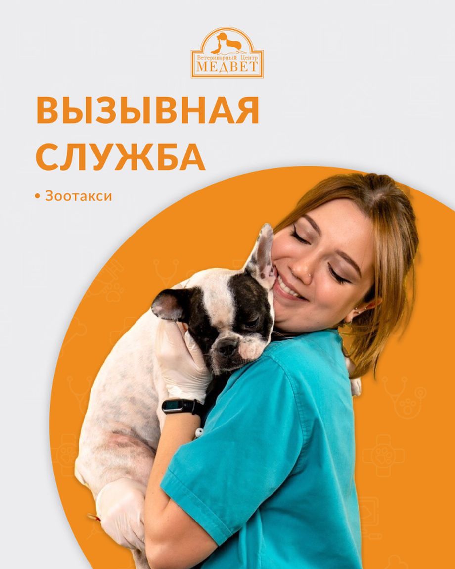 МЕДВЕТ