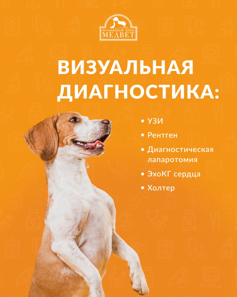 МЕДВЕТ