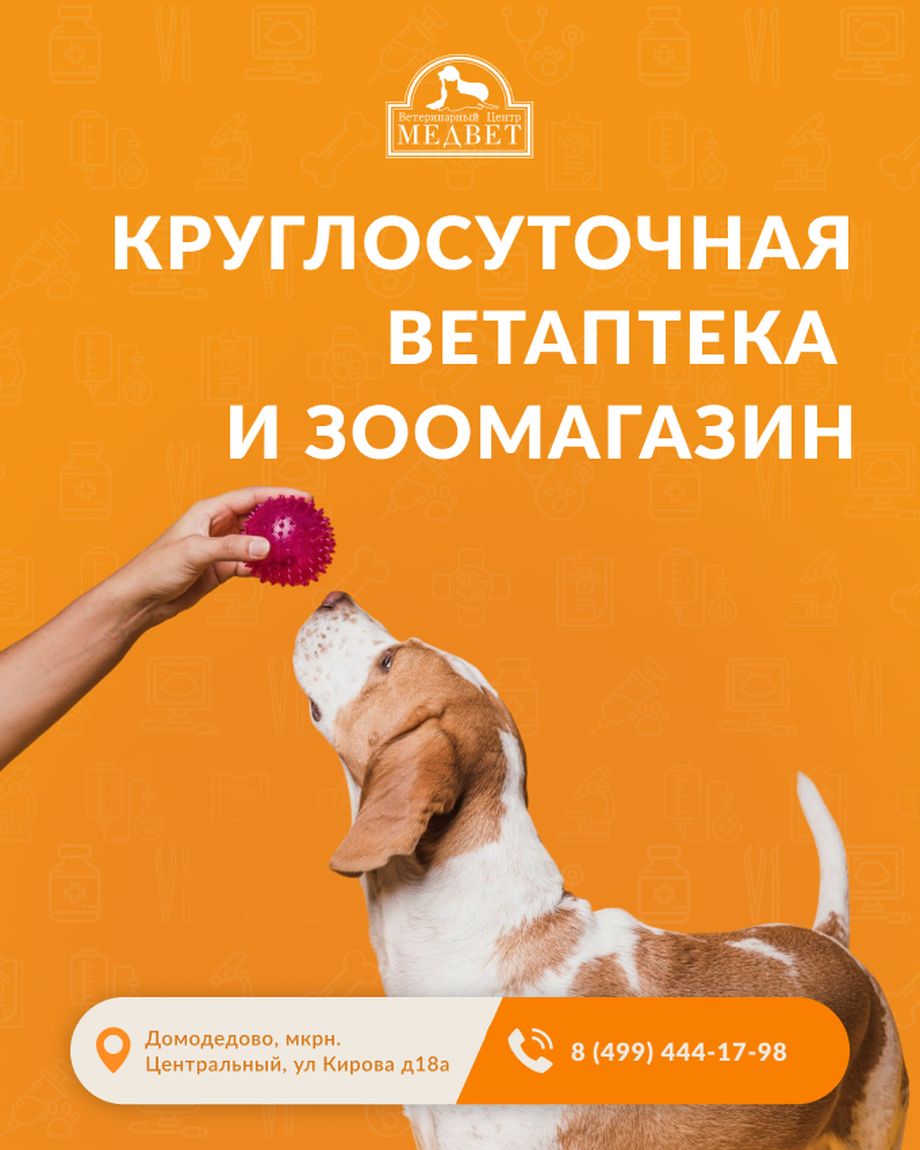 МЕДВЕТ