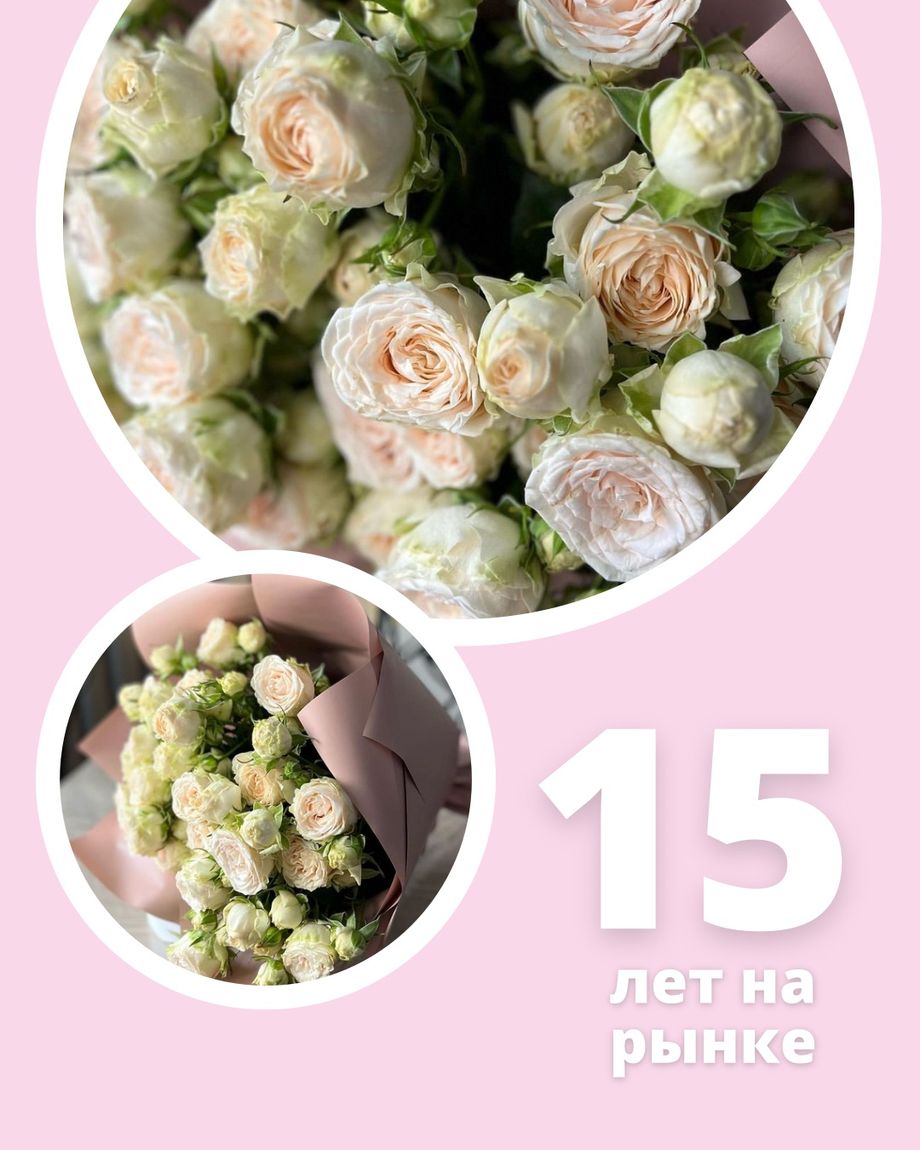 New Расцвет