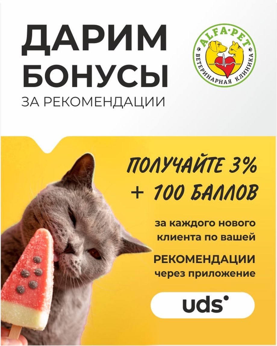 Альфа-Вет