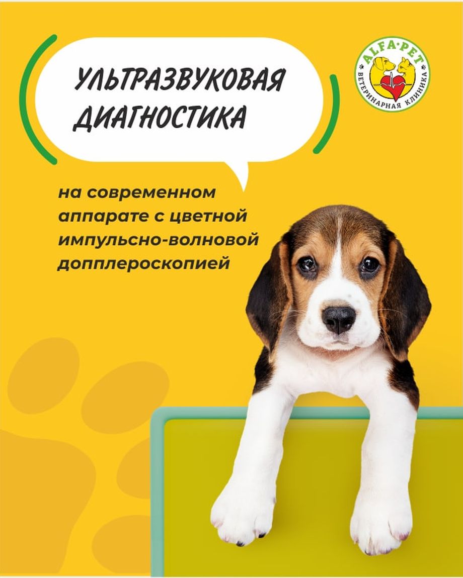 Альфа-Вет