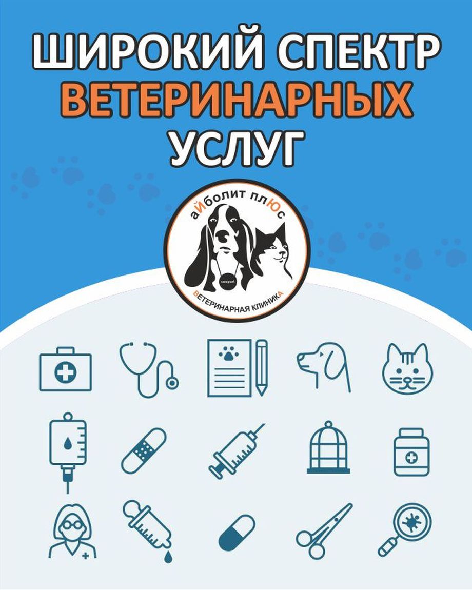 Айболит Плюс