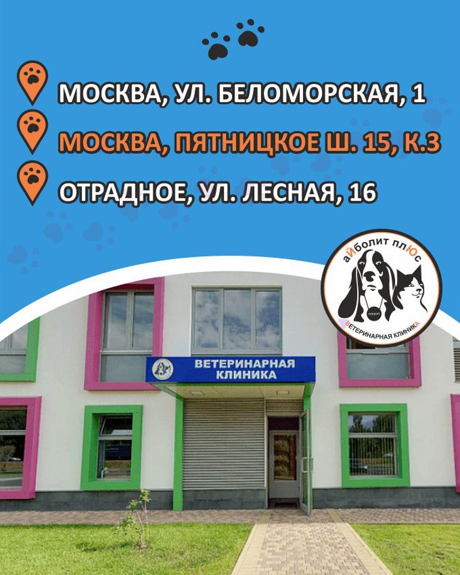 Айболит Плюс