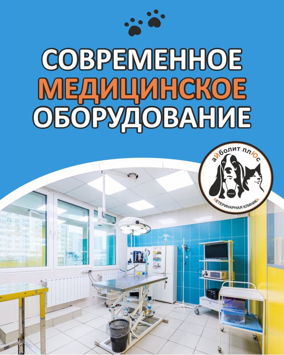 Айболит Плюс